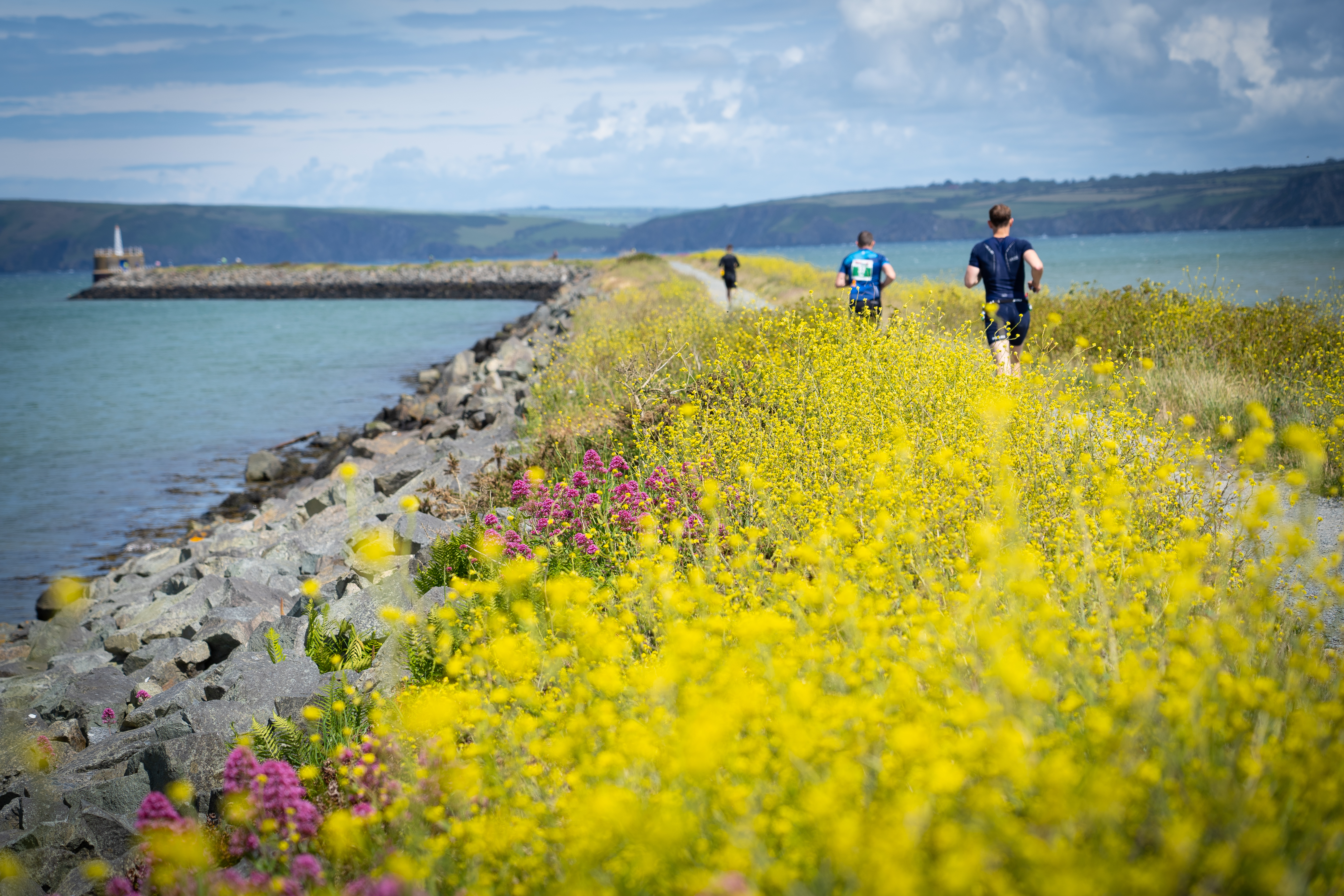 Triple Crown Results 2019